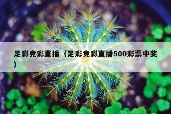 足彩竞彩直播（足彩竞彩直播500彩票中奖）