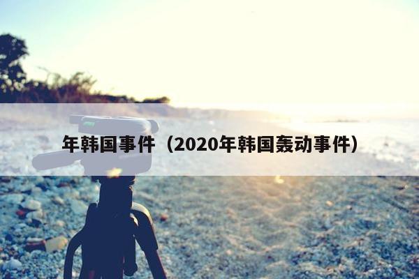 年韩国事件（2020年韩国轰动事件）