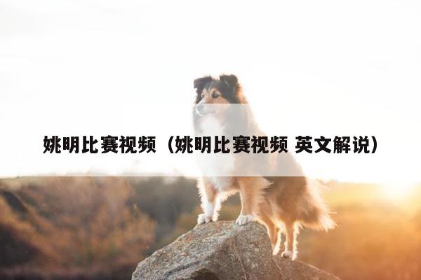 姚明比赛视频（姚明比赛视频 英文解说）