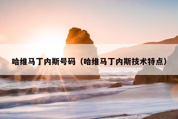 哈维马丁内斯号码（哈维马丁内斯技术特点）