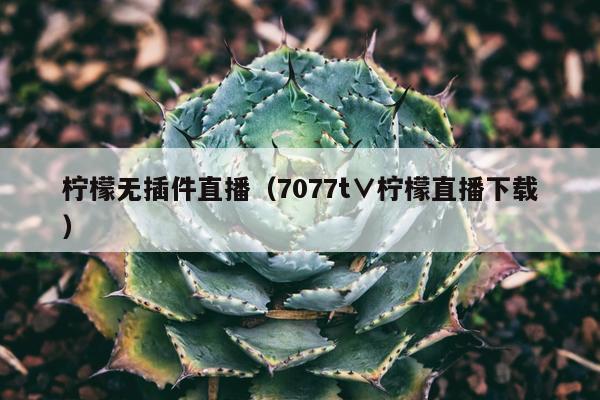 柠檬无插件直播（7077t∨柠檬直播下载）