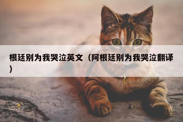 根廷别为我哭泣英文（阿根廷别为我哭泣翻译）