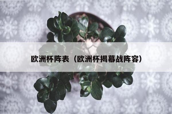 欧洲杯阵表（欧洲杯揭幕战阵容）