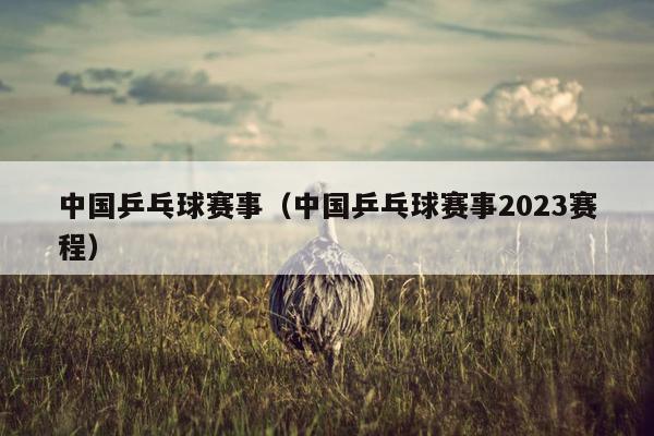 中国乒乓球赛事（中国乒乓球赛事2023赛程）