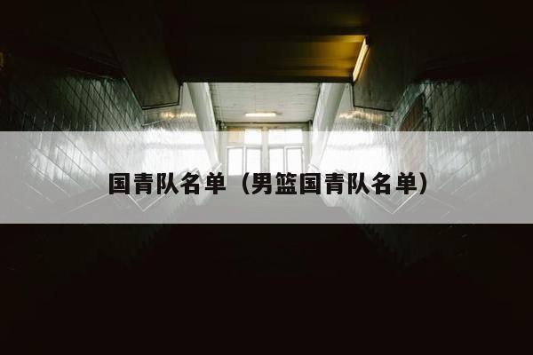 国青队名单（男篮国青队名单）