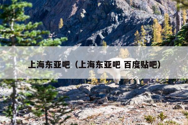 上海东亚吧（上海东亚吧 百度贴吧）