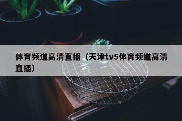 体育频道高清直播（天津tv5体育频道高清直播）