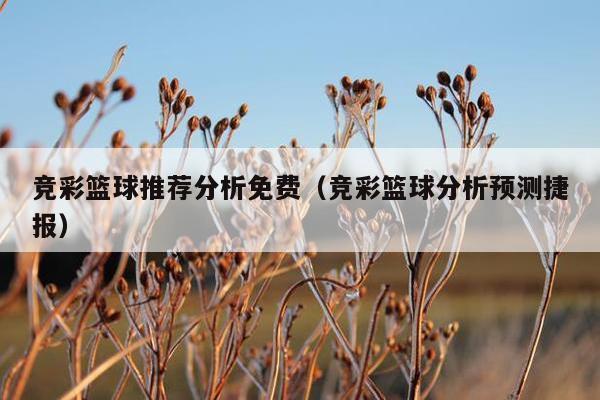 竞彩篮球推荐分析免费（竞彩篮球分析预测捷报）