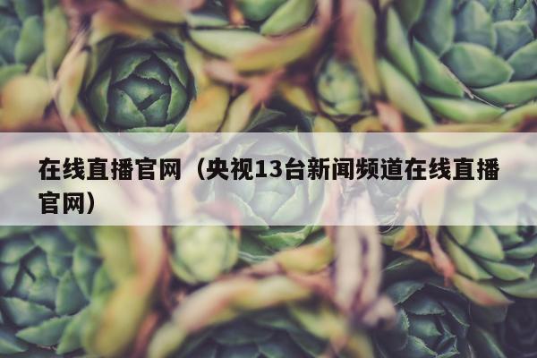 在线直播官网（央视13台新闻频道在线直播官网）