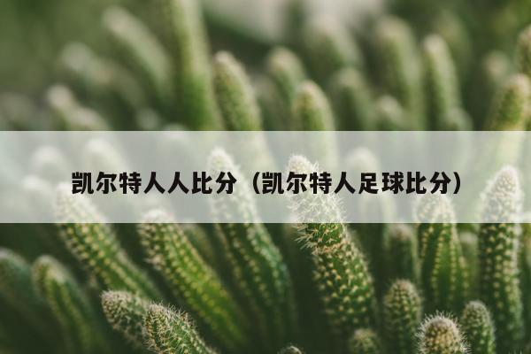 凯尔特人人比分（凯尔特人足球比分）