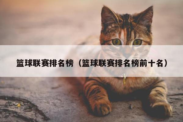 篮球联赛排名榜（篮球联赛排名榜前十名）