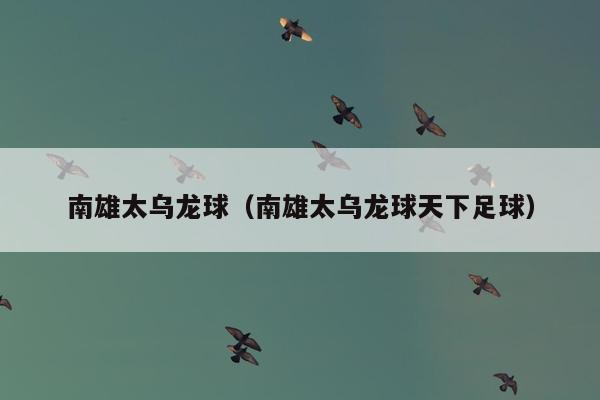 南雄太乌龙球（南雄太乌龙球天下足球）