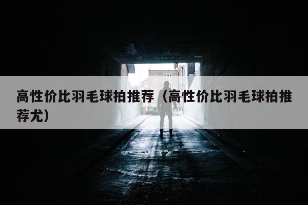 高性价比羽毛球拍推荐（高性价比羽毛球拍推荐尤）