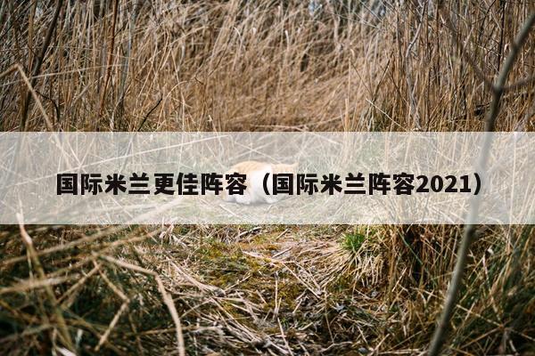 国际米兰更佳阵容（国际米兰阵容2021）