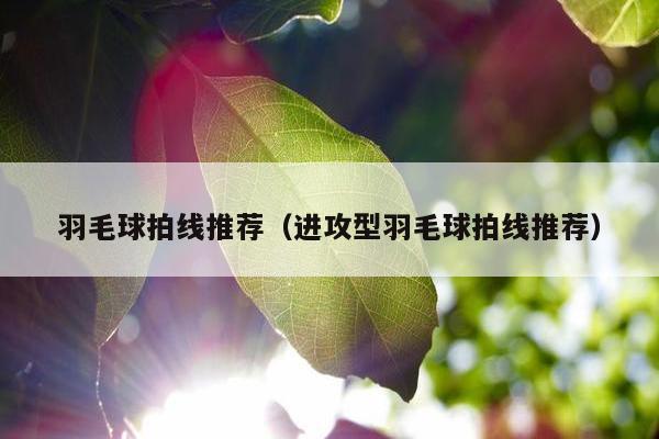 羽毛球拍线推荐（进攻型羽毛球拍线推荐）