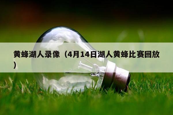 黄蜂湖人录像（4月14日湖人黄蜂比赛回放）