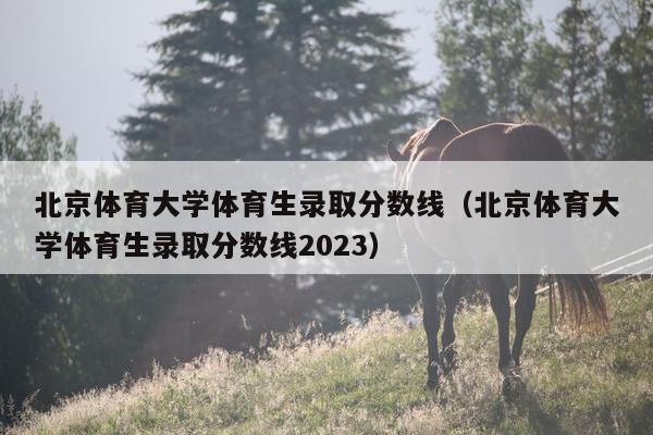 北京体育大学体育生录取分数线（北京体育大学体育生录取分数线2023）