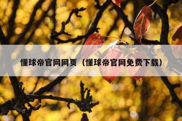 懂球帝官网网页（懂球帝官网免费下载）