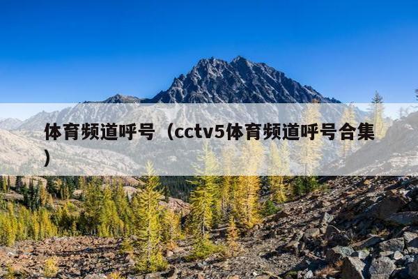 体育频道呼号（cctv5体育频道呼号合集）