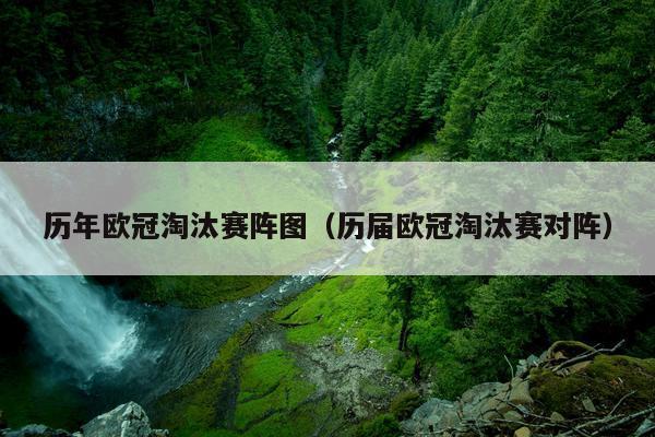 历年欧冠淘汰赛阵图（历届欧冠淘汰赛对阵）