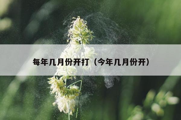 每年几月份开打（今年几月份开）