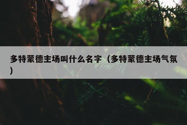 多特蒙德主场叫什么名字（多特蒙德主场气氛）