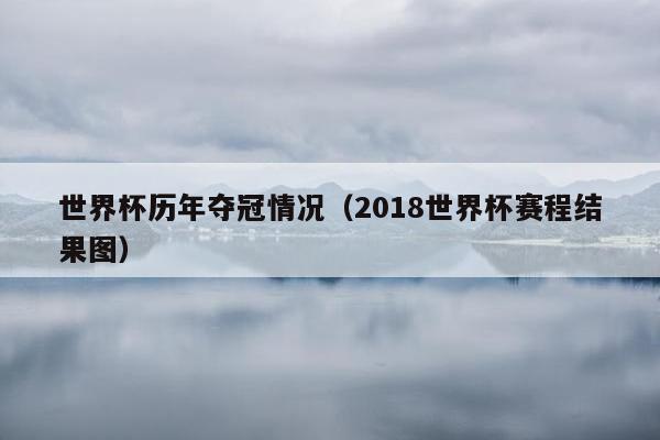 世界杯历年夺冠情况（2018世界杯赛程结果图）