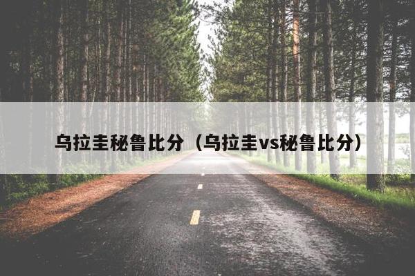 乌拉圭秘鲁比分（乌拉圭vs秘鲁比分）