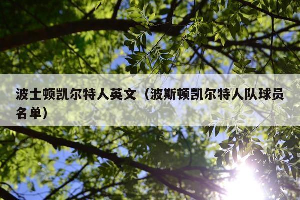 波士顿凯尔特人英文（波斯顿凯尔特人队球员名单）