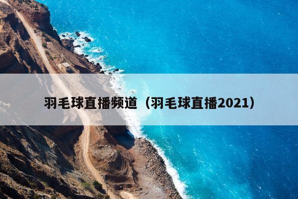 羽毛球直播频道（羽毛球直播2021）