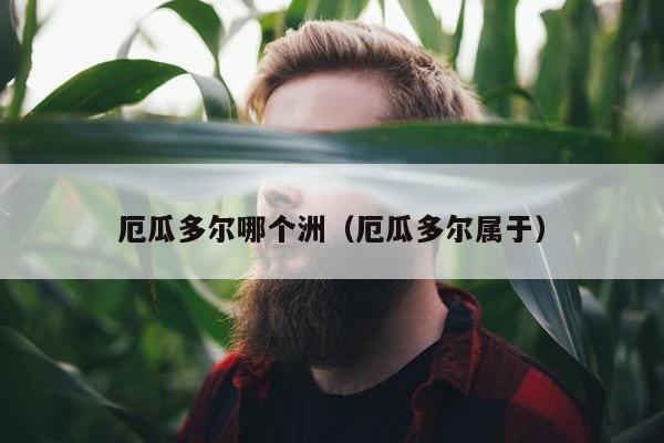 厄瓜多尔哪个洲（厄瓜多尔属于）