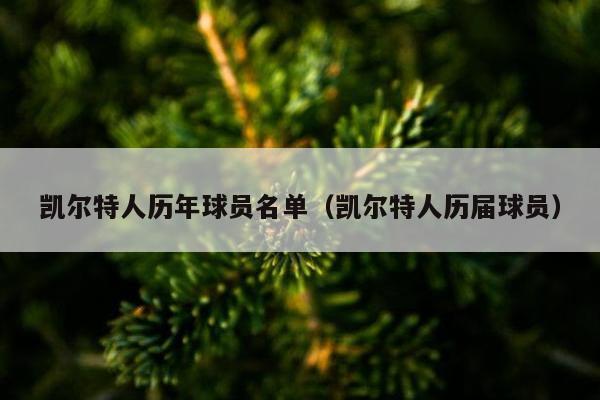 凯尔特人历年球员名单（凯尔特人历届球员）