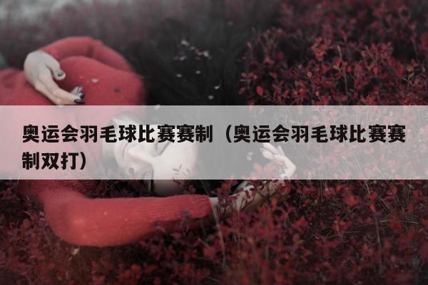 奥运会羽毛球比赛赛制（奥运会羽毛球比赛赛制双打）