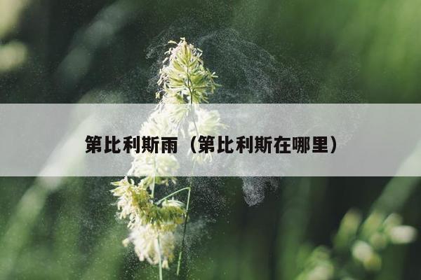 第比利斯雨（第比利斯在哪里）