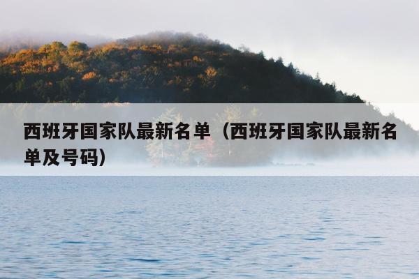 西班牙国家队最新名单（西班牙国家队最新名单及号码）