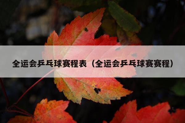 全运会乒乓球赛程表（全运会乒乓球赛赛程）