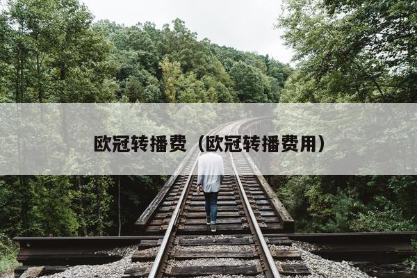 欧冠转播费（欧冠转播费用）