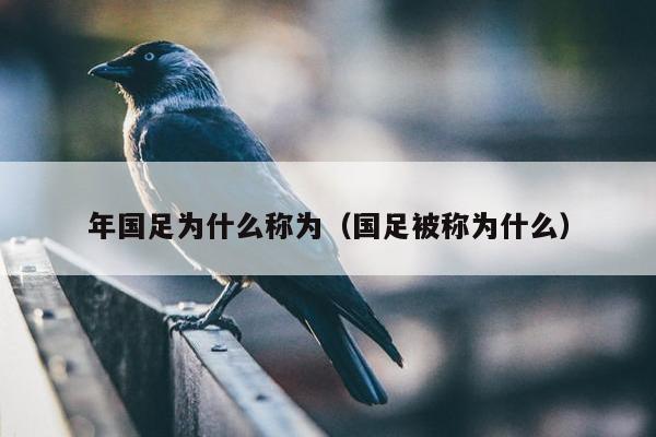 年国足为什么称为（国足被称为什么）