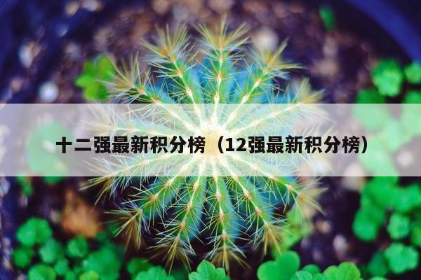 十二强最新积分榜（12强最新积分榜）