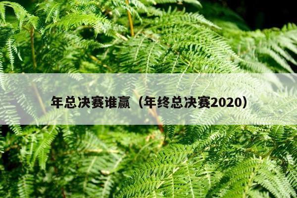 年总决赛谁赢（年终总决赛2020）