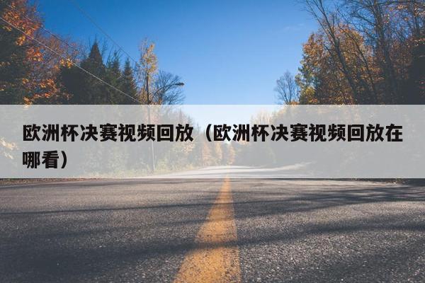 欧洲杯决赛视频回放（欧洲杯决赛视频回放在哪看）