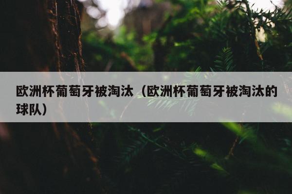 欧洲杯葡萄牙被淘汰（欧洲杯葡萄牙被淘汰的球队）