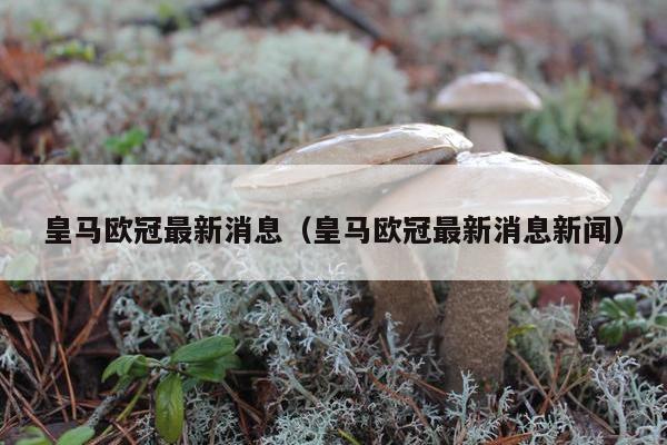 皇马欧冠最新消息（皇马欧冠最新消息新闻）