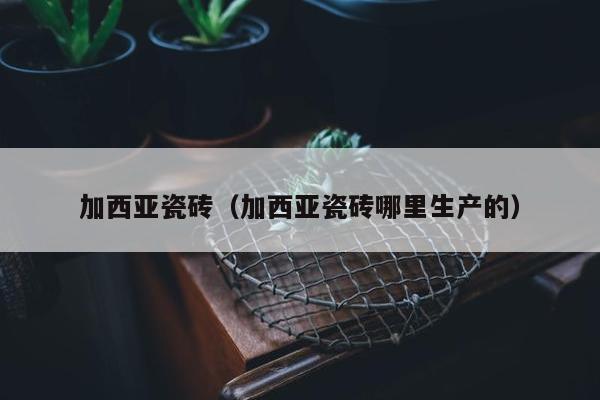 加西亚瓷砖（加西亚瓷砖哪里生产的）