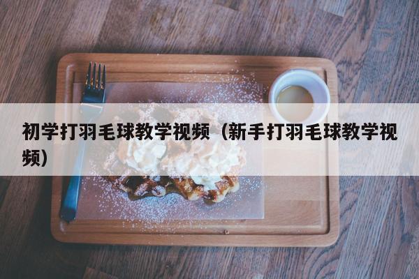 初学打羽毛球教学视频（新手打羽毛球教学视频）