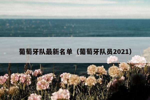 葡萄牙队最新名单（葡萄牙队员2021）