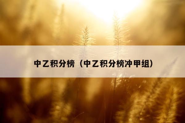 中乙积分榜（中乙积分榜冲甲组）