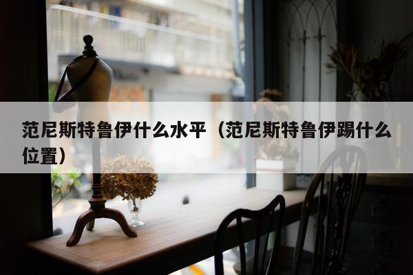 范尼斯特鲁伊什么水平（范尼斯特鲁伊踢什么位置）