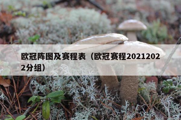 欧冠阵图及赛程表（欧冠赛程20212022分组）