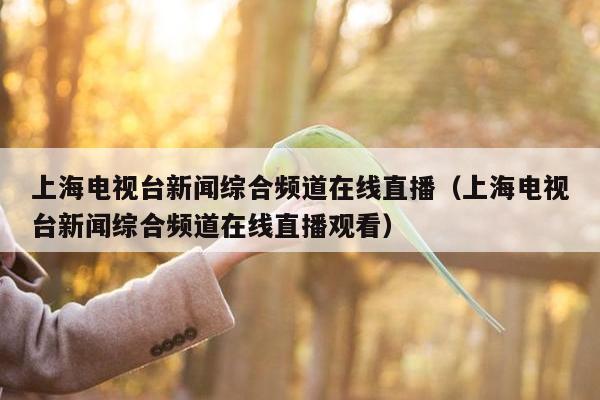 上海电视台新闻综合频道在线直播（上海电视台新闻综合频道在线直播观看）